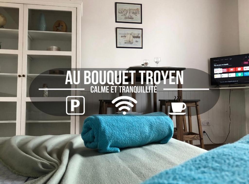 Apartament Au Bouquet Troyen - Wifi - Calme Et Tranquillite Troyes Zewnętrze zdjęcie